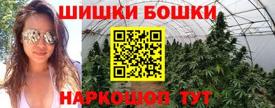 индика Ипатово