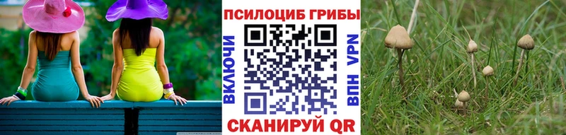 Галлюциногенные грибы мицелий  Туапсе 