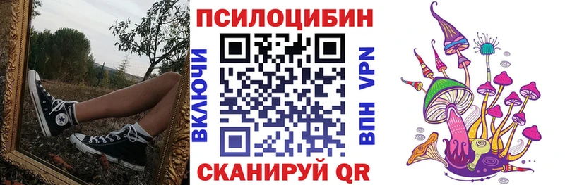 Псилоцибиновые грибы Psilocybe Туапсе